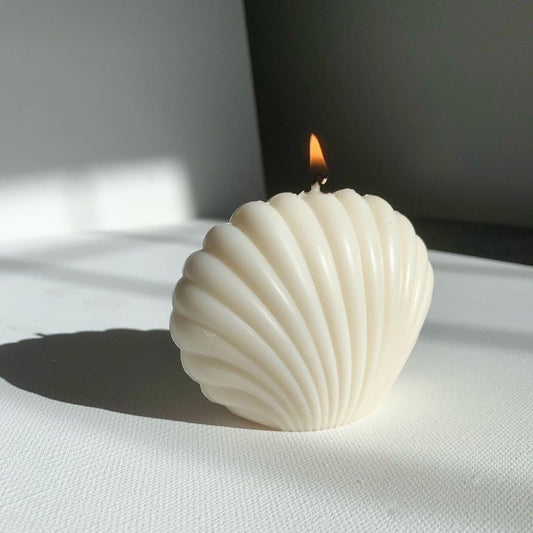 White Sea shell -Scent ocean breeze