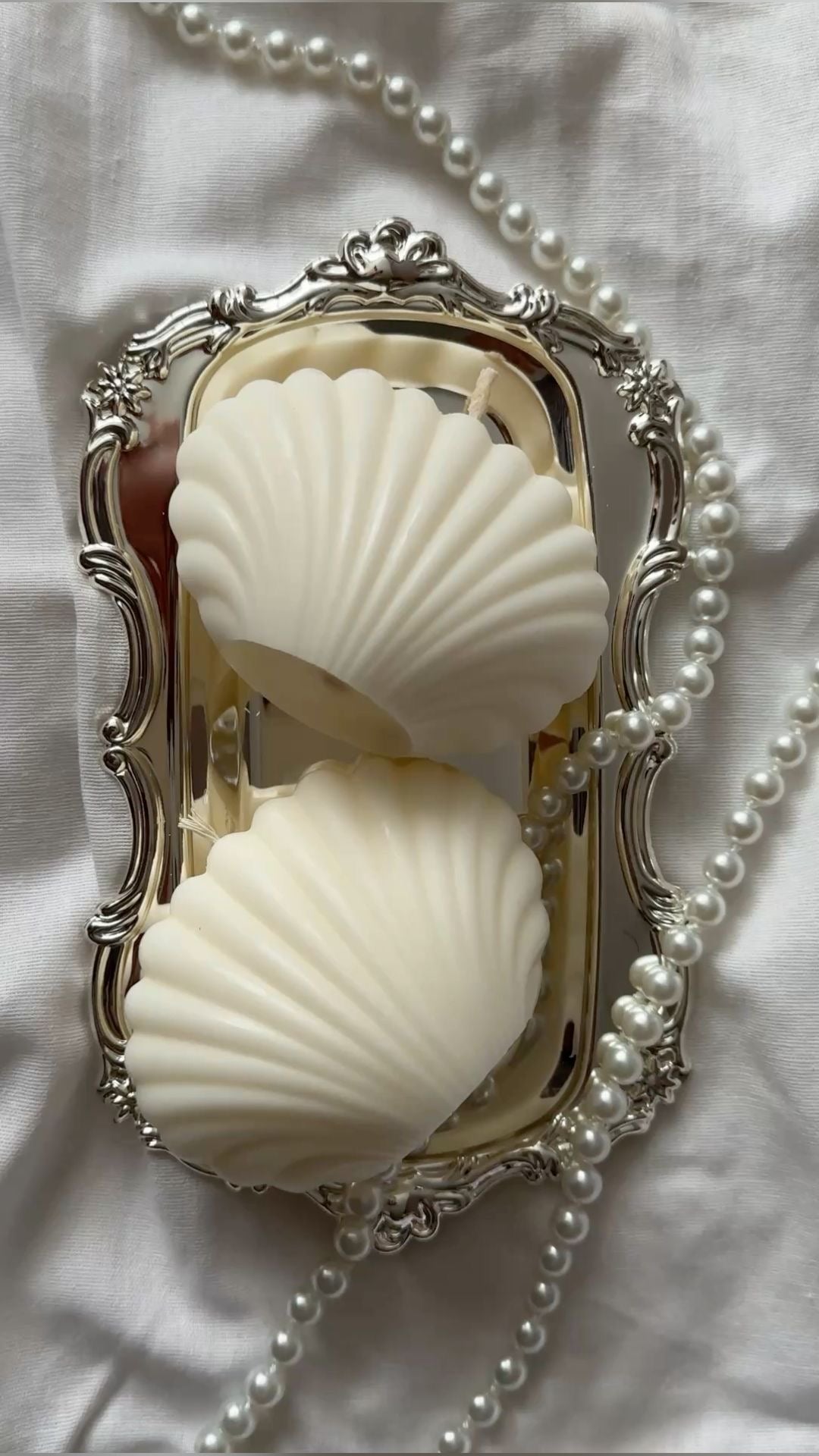 White Sea shell -Scent ocean breeze